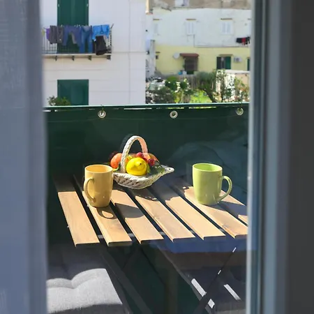 Myosotis - With Terrace In * Isquia