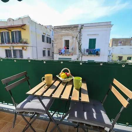 Myosotis - With Terrace In